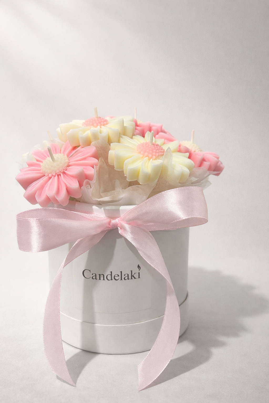 Pink Daisy