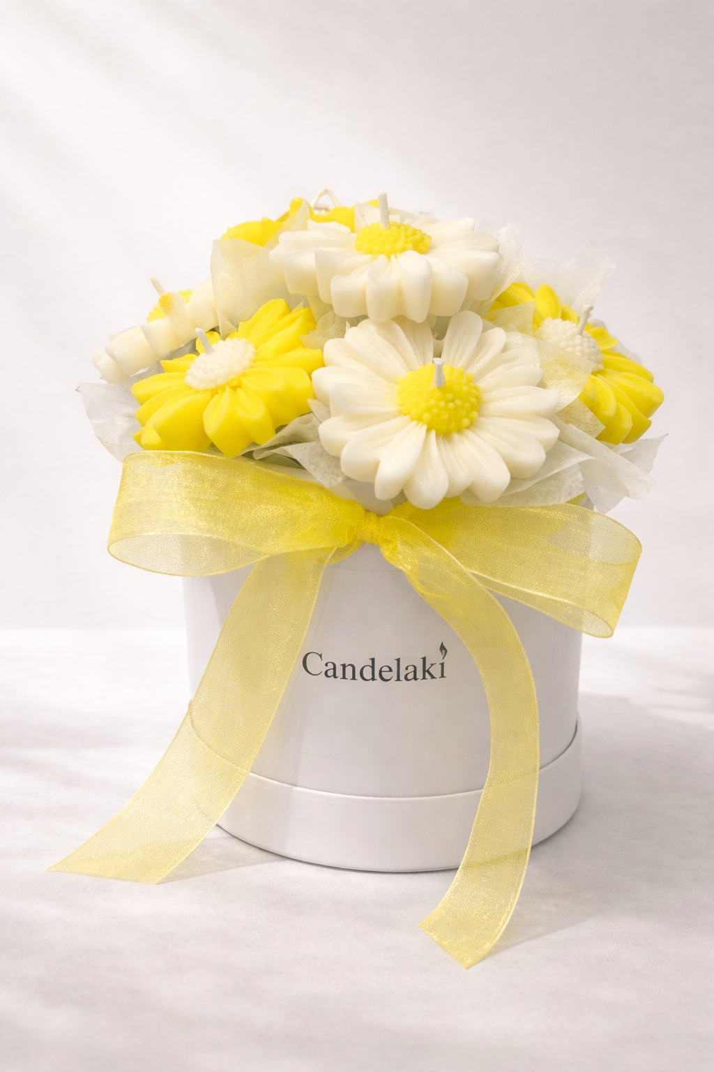 Yellow Daisy
