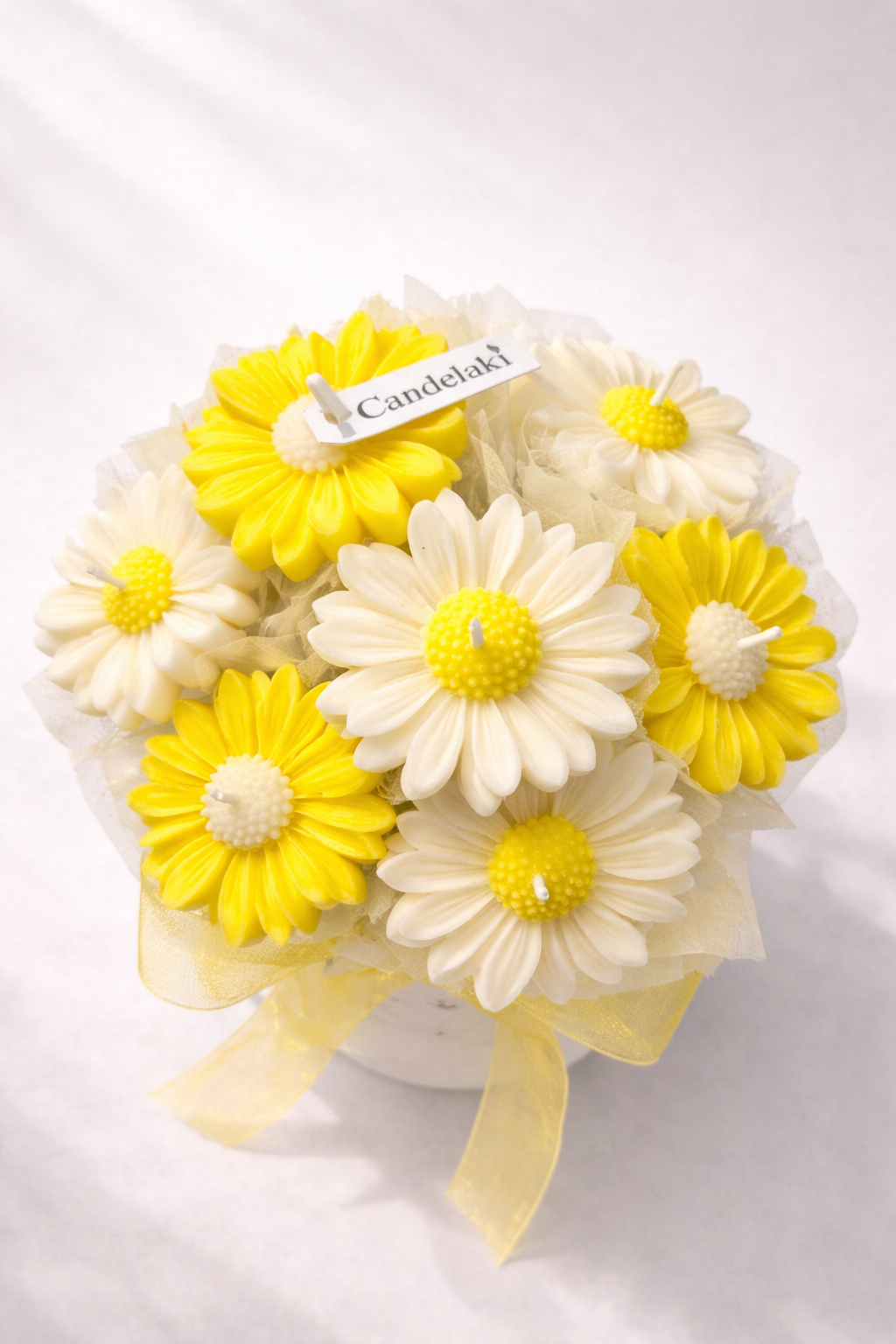 Yellow Daisy